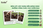 -dinh-duong-vung-chac-truoc-khi-trong_3e38c0f89cbd403cbf4ea88ae3406673.png