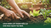 cach-bon-lot-phan-huu-co-cho-rau-dung-cach-truoc-khi-trong_9aaea481d443429383ab3d6078b24a50 (1).png