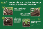 n-huu-co-cho-rau-theo-4-buoc-don-gian_260d0e791a97450e8e7e12387a3b4834 (1).png