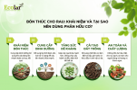 can-bon-thuc-cho-rau-bang-phan-huu-co_c32cabd212b94f31a2ea542f5a37baec.png