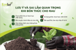 ai-lam-can-tranh-khi-bon-thuc-cho-rau_b3669bc7873a4f0db9c0059488b9f727.png
