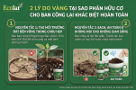 -cho-ban-cong-lai-khac-biet-hoan-toan_6eec0c59e8b3483b8bdc410b5038bee6 (1).png
