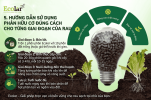 -dung-cach-cho-tung-giai-doan-cua-rau_fbedd8aae5854bed909780657b9bda73 (1).png