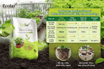 oai-phan-huu-co-pho-bien-cho-ban-cong_2d3d8eaf41754e7d85f7b5329a1d8186 (1).png