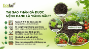 oc-menh-danh-la-vang-nau-cho-vuon-rau_6984ced94c034e1c971d8238b9654fae (1).png