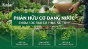 -co-dang-nuoc-cho-rau-co-tot-khong-phan-tich-tu-a-z-cho-nguoi-lam-vuon (1).png