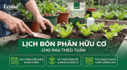 lich-bon-phan-huu-co-cho-rau-theo-tuan-de-ap-dung-tai-nha_8da8589fb50a493ca0d10cba84280081.png
