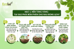 i-sao-phai-bon-phan-cho-rau-dung-lich_b1ba8ae88ea0498594a3ec34ef0d89ac.png
