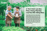 hong-phai-moi-loai-rau-deu-giong-nhau_6c3e89f390a9405d81bb456479eaa554 (1).png