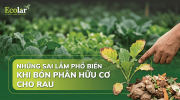 7-sai-lam-khi-bon-phan-huu-co-cho-rau-va-cach-khac-phuc_01188d0c44c44fb780d5563b92d47bab.png