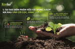 -dung-cach-ma-rau-van-coi-coc-vang-la_7b65f9b5eba3495f8d345e37594b2df8.png