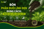 bon-phan-ruoi-linh-den-dung-cach-tranh-sai-lam-lam-hai-cay_02e5ffa62e1f46a9afd33df100470882.png