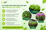 dung-cach-lai-quan-trong-hon-ban-nghi_2cd3449adf854ad3b6138b1cedc024fd.png