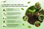 can-tranh-khi-dung-phan-ruoi-linh-den_7d2ee4fa7906461aac5a238ea110f57d.png