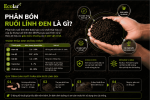 phan-bon-ruoi-linh-den-la-gi_8ad38eb2002f473f897d3d4ef05fe0ba.png