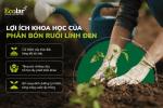 h-khoa-hoc-cua-phan-bon-ruoi-linh-den_ed72764f403f48d985e97954235f4f42.png