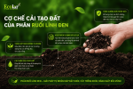 phan-ruoi-linh-den-giup-cai-tao-dat-va-nuoi-re-nhu-the-nao_bafbf260d9e7469c991ae88b7385ef37.png