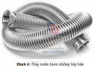 hinh 6.png