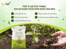 ng-khi-su-dung-phan-bon-ruoi-linh-den_b206bbac33af45918994a932798336ad (1).png