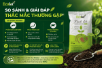 -sanh-va-giai-dap-thac-mac-thuong-gap_63abbbd9346e4051a21e5f963fc234d1 (1).png