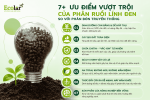 linh-den-so-voi-phan-bon-truyen-thong_3c3db5b5ee8d444f94e9d36891c9d5c5 (1).png