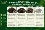 -trun-que-phan-chuong-va-phan-hoa-hoc_480adcf0e7d54a1bbe598bb143c5584c (1).png