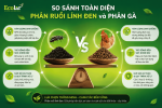 an-dien-phan-ruoi-linh-den-va-phan-ga_ae10ca2c605b463ca5e76807a5e37a5b.png