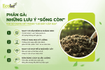 -khi-su-dung-de-tranh-loi-bat-cap-hai_87ecb177f1f242faa78be323311d561f.png