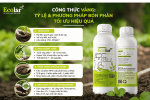 -phuong-phap-bon-phan-toi-uu-hieu-qua_51b93dfd748c4d7b956d1a2dc96a7bd1 (1).png