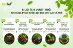 ung-phan-ruoi-linh-den-cho-cay-ca-phe_dcaac11c313a44a581952447f31d6ada (1).png