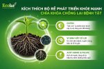 hoe-manh-chia-khoa-chong-lai-benh-tat_cb8c21739ad34bd5ba4e47b642ff613b.jpg