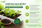 t-den-vang-den-cua-nong-nghiep-huu-co_d7dfa42cc856491c84351082bdf56bee.webp