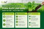 a-meo-chon-va-dung-phan-ruoi-linh-den_9fd09869b5e143b38495f10978831f29.webp