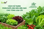 cach-su-dung-phan-ruoi-linh-den-hieu-qua-cho-tung-loai-cay_e2eb4626e5f046d7bb91e5ed88bd4a76 (1).png