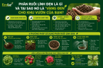 o-no-la-vang-den-cho-khu-vuon-cua-ban_fb9cb7e7690c474da07fca6daebdc422 (1).png