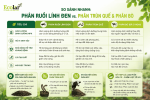 -linh-den-vs-phan-trun-que-va-phan-bo_ddb654e801d148f3b00c23ddfba03c90 (1).png
