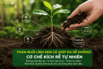 phan-ruoi-linh-den-co-giup-ra-re-khong-co-che-kich-re-tu-nhien_53054767de5e42c08df996d27de91e7...png