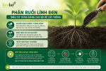 -dau-tu-xung-dang-cho-bo-re-cay-trong_57038e4a60cf4416b60e692540bb0424 (1).png