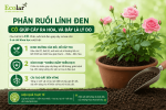 en-co-giup-cay-ra-hoa-va-day-la-ly-do_f833c6fc6faf4627973a66b5dc26ef22 (1).png