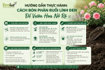 -phan-ruoi-linh-den-de-vuon-hoa-no-ro_3a8b8b2a7c764246a808653131fbcb60 (1).png