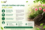 cau-hoi-thuong-gap-faq-va-ket-luan_b6d06d1b97da410e991d1bbaccc796e4 (1).png