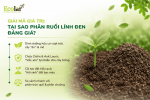 i-tai-sao-phan-ruoi-linh-den-dang-gia_bf82d760dedd4c1b950ce78b4784f740 (1).png