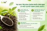 -linh-den-la-mot-quyet-dinh-sang-suot_a670076097d341cd95fabdf529c066af (1).png