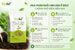 ien-phan-ruoi-linh-den-chat-luong-cao_1a2502add55f4b24a73260d2fcd86651 (1).png