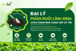 dai-ly-phan-ruoi-linh-den-cach-chon-nha-cung-cap-uy-tin.png