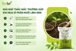 ong-gap-khi-mua-si-phan-ruoi-linh-den_5ad08cd8dbc449998c4a7c01a9ad8fb8 (1).png