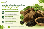 co-tu-thuc-vat-giau-carbon-dinh-duong_09e6da390f6344e7801b76fce2ca2703 (1).png