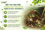 dan-tung-buoc-tron-va-duy-tri-dong-u__0cc89f4ec3194807822d51363a875bb7 (1).png