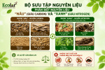 au-giau-carbon-va-xanh-giau-nitrogen__4280c3cdae1b4eb8b57f70a58ac29516 (1).png