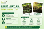 rong-nong-nghiep-chung-thuc-su-la-gi__01cf5fad8bdb477089a2d394b5d7abf7 (1).png